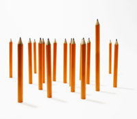 class of pencils - one taller than the rest like a teacher