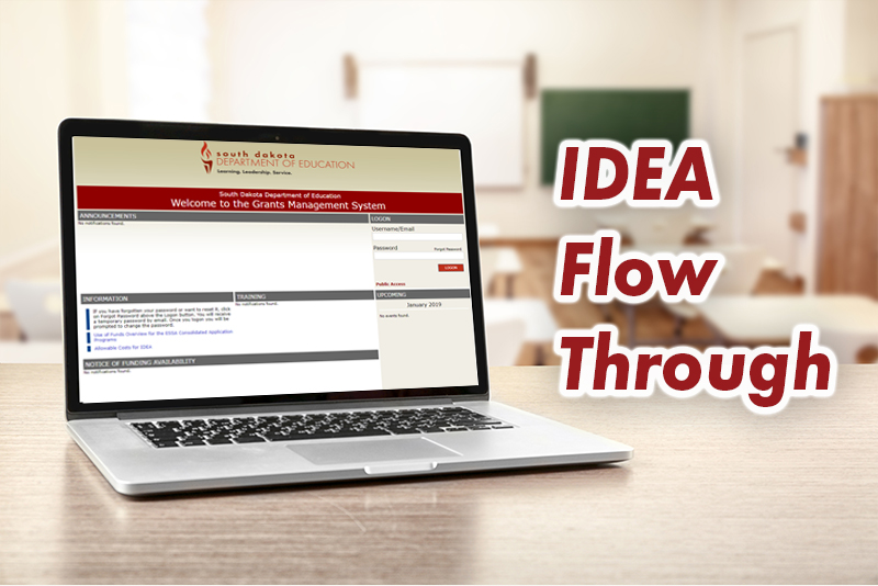 IDEA Flow Through Log In