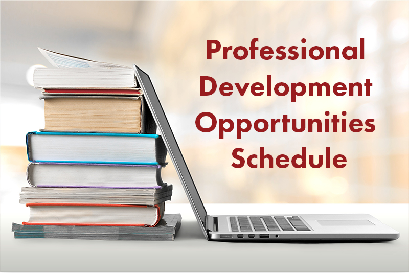 Professional Development